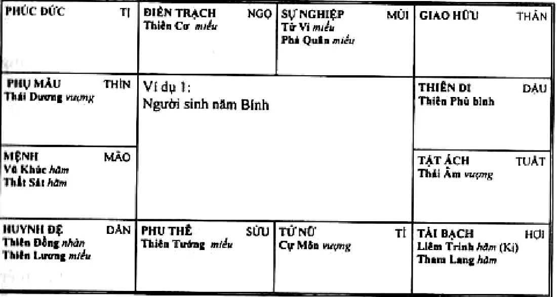 Hình 218: ví dụ 1, người sinh năm Bính, Vũ Khúc Thất Sát hãm thủ mệnh ở Mão, Liêm Trinh Hóa Kị Tham Lang ở cung tài bạch Hợi