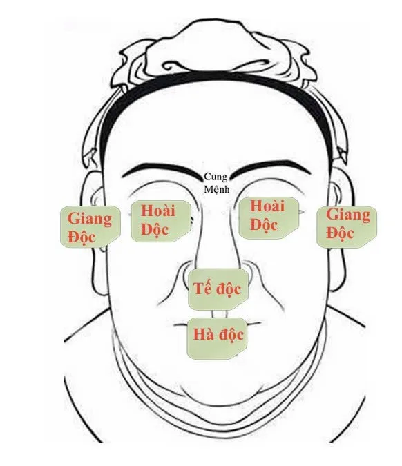 Tứ độc trên gương mặt: tế độc, hoài độc, hà độc, giang độc