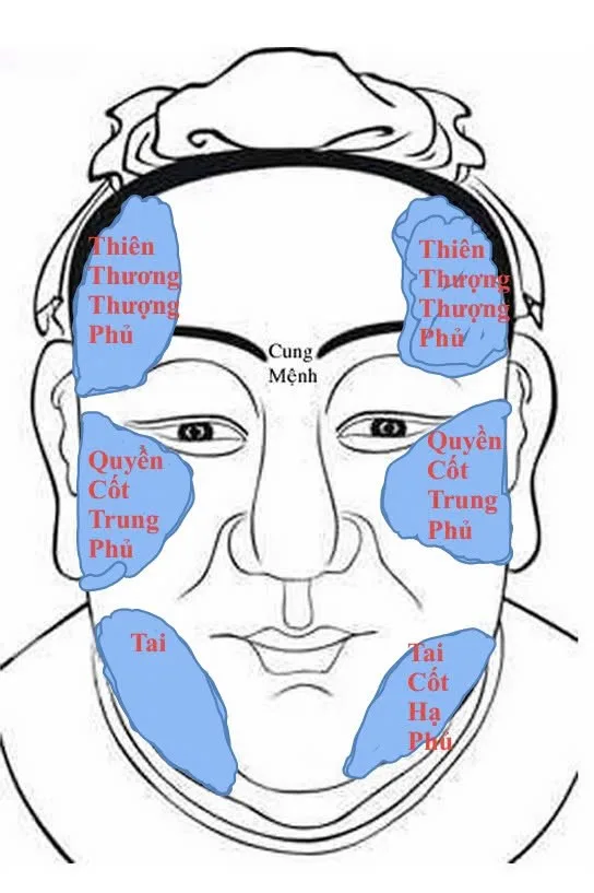 Lục phủ trên gương mặt