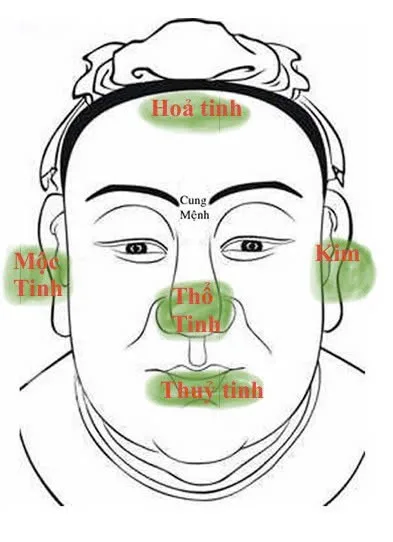 Ngũ tinh trên gương mặt: hỏa, thổ, thủy, mộc, kim