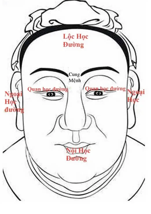 Tứ học đường trên gương mặt