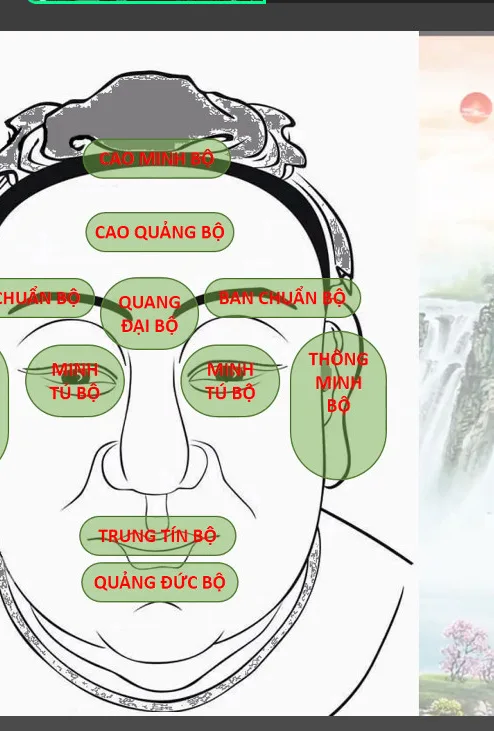 Bát học đường trên gương mặt