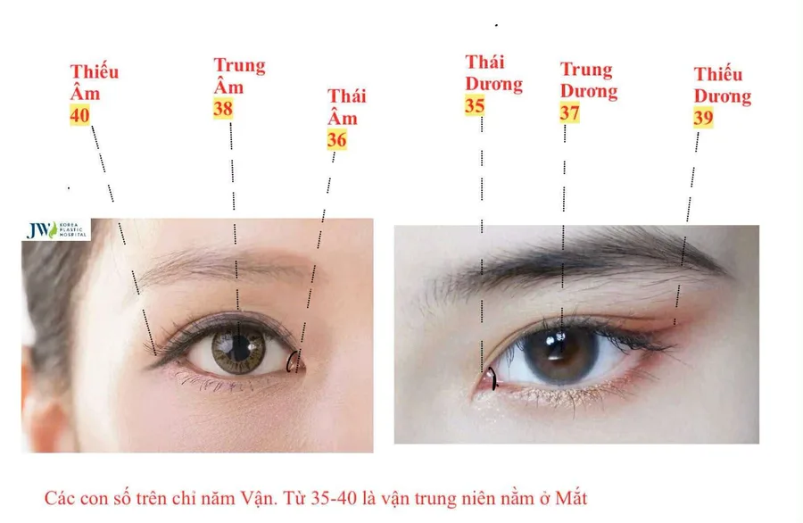 Các cung vị lưu hạn năm vận quanh mắt, từ ba mươi lăm đến bốn mươi tuổi