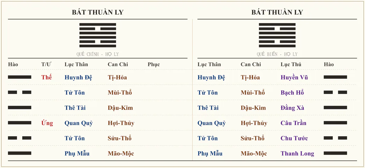 Quẻ Bát Thuần Ly - ví dụ xem bệnh vợ và con cái