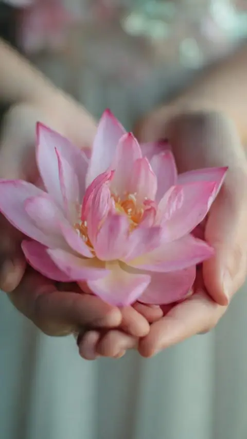 Bi Kịch Cung Tử Tức, Gông Cùm Tư Duy: Phật Gia Hóa Duyên