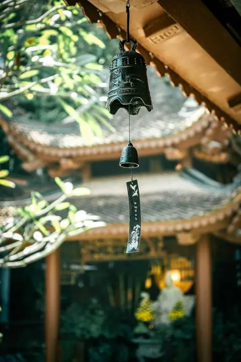Thiên Phủ (天府): Quyền Lực Tài Chính - Hậu Cần