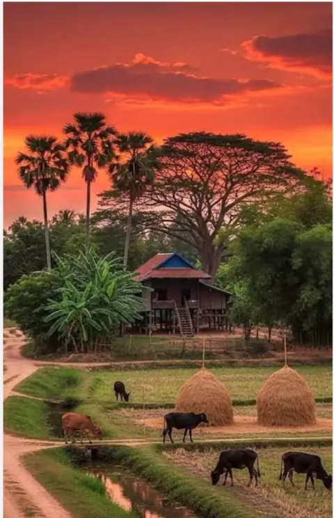Thái Dương, Thiên Lương Ở Mão, Dậu; Thất Sát Thìn, Tuất; Thiên Cơ Tị, Hợi