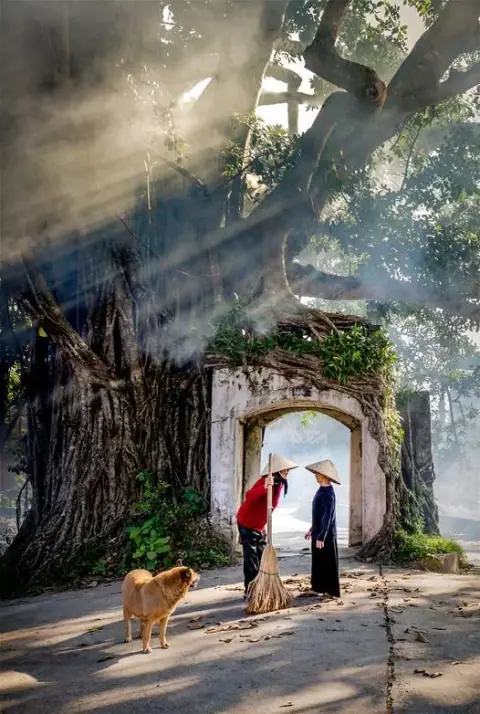 Ý Nghĩa Của Hiện Tượng Cung Tật Ách Phi Hóa Nhập Cung Phúc Đức