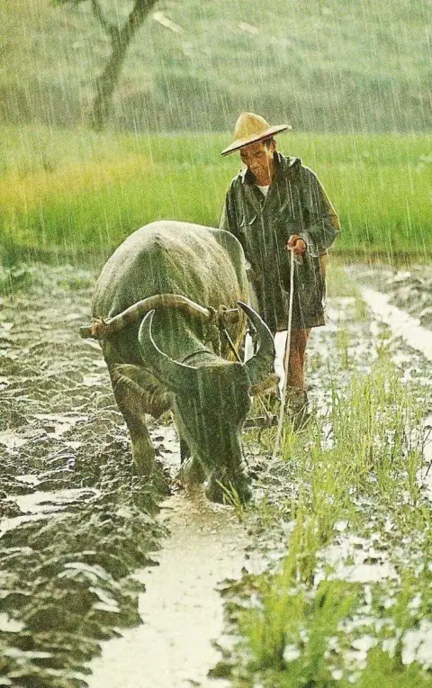 Tiến Mã, Thoái Mã Lộc Kị, Nghịch Thủy Kị Và Thủy Mệnh Kị