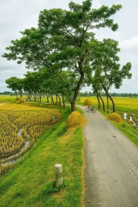 Lập Thái Cực Từ Cung Thiên Di Đến Cung Phụ Mẫu Trong Tứ Hóa Phái