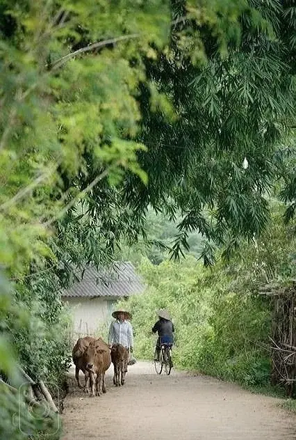 Cung Huynh Đệ Tứ Hóa Phái: Kho Tiền, Phá Tài, Trở Ngại Tình Yêu
