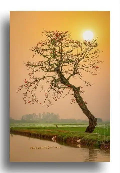 Tarot: Những Nẻo Đường Của Vận Mệnh
