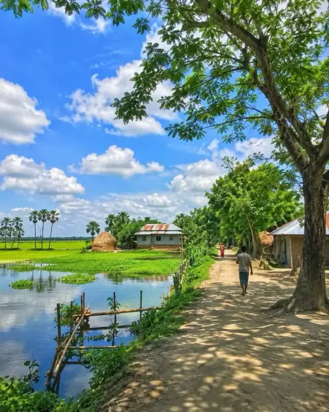 Lục Thần Tượng Trong Lục Hào: Sáu Ví Dụ Ứng Dụng Thực Chiêm