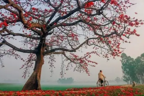 Ứng Kỳ, Quy Hồn Du Hồn Và Nguyệt Phá: Thời Điểm Ứng Nghiệm Của Quẻ