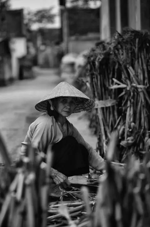 Xu Cát Tị Hung: Hào Thế Và Tử Tôn Trong Phép Tránh Tai Họa