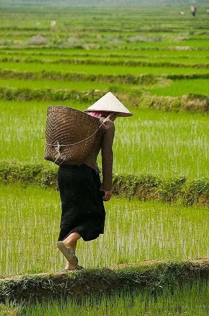 Cơ Nguyệt Đồng Lương, Sát Cùng Liêm Trinh Và Mã Đầu Đới Kiếm Cách