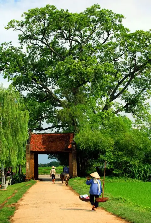 Hào Phụ Mẫu Trong Việc Học: Chọn Kinh Sách Và Xét Thầy Dạy Ra Sao