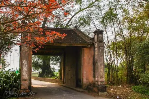 Thi Hương, Thi Hội: Hào Phụ, Hào Quan Và Vận May Bảng Vàng