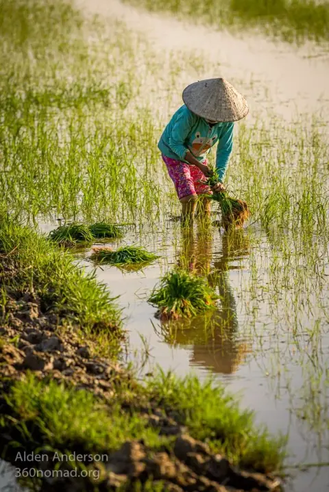 Cầu Tài: Hào Tài, Hào Huynh Và Nguồn Gốc Của Tiền Bạc