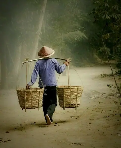 Quẻ Bài Xuất Hành Sáu Lá: Hỏi Chuyện Đi Xa Nên Hay Không
