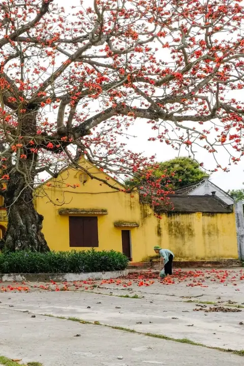 Cung điền trạch: kho tiền, nhân tâm và lối ra bệnh tật