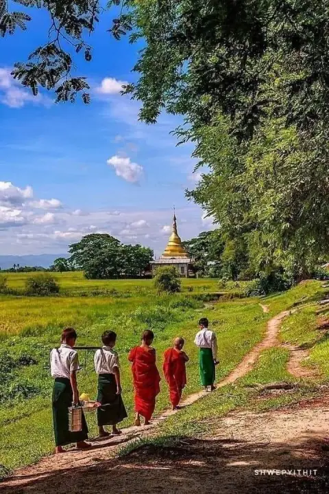 Nam mệnh Mậu Ngọ: bệnh thần kinh não bộ từ tiên thiên
