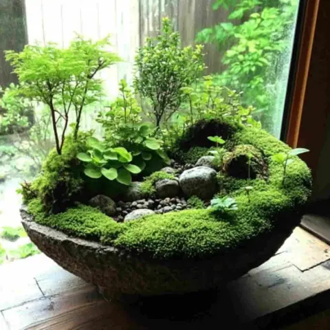Nam mệnh Nhâm Dần: dị tật lưỡng tính đọc từ ba cung