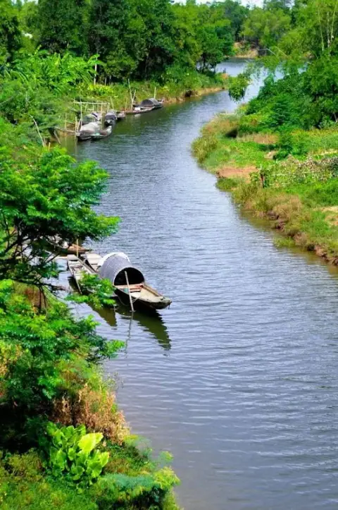 Bố cục Thất Tinh và những nguyên tắc vận dụng tinh diệu