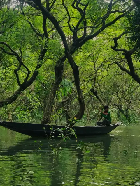 "Tử Vi, Thiên Tướng" ở Thìn Tuất và Thiên Lương ở Tị Hợi
