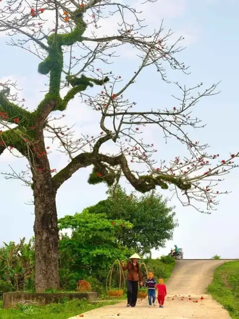 Hình phú Thiên Lương: Ấm tinh giải ách, hai mặt tình pháp