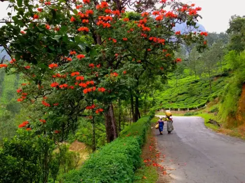 Cung Thiên Di, động tượng và sáu chính tinh đầu