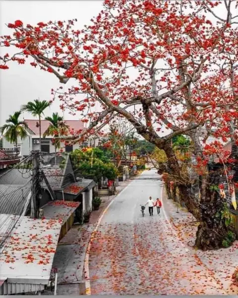 Tám chính tinh cuối ở cung Thiên Di và chuyện xa quê