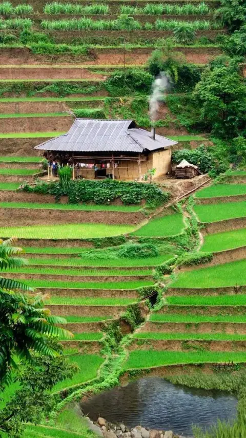 Cung Sự Nghiệp với Thái Dương, Vũ Khúc, Thiên Đồng, Liêm Trinh