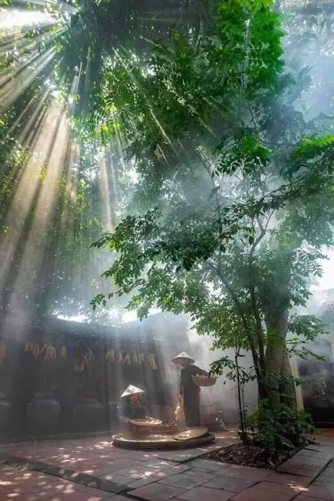 Luận đoán cung Tử Nữ qua mệnh bàn Tưởng Giới Thạch