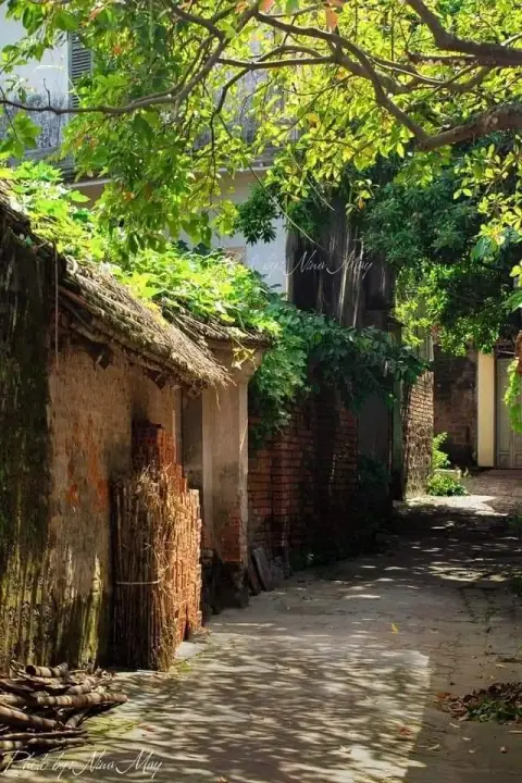 Hai người chênh lệch quá nhiều và những mối tình lệch tuổi tác