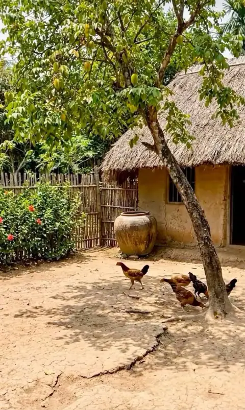 Cách của chính tinh, phụ tinh và yếu tố Cục trong Tử Vi