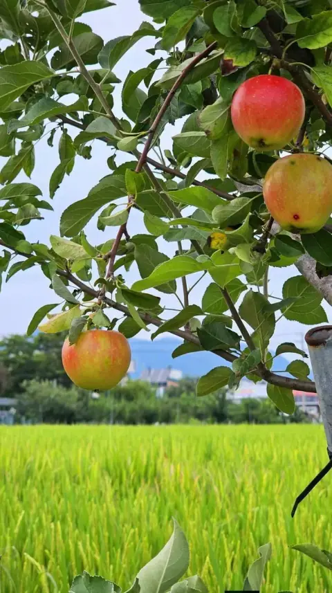 Giàu nghèo qua năm tiêu chuẩn và những cung chỉ tài sản