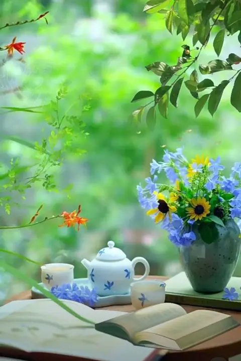 Cùng giờ sinh mà khác số: những cách cuộc thiết yếu của Đẩu Số