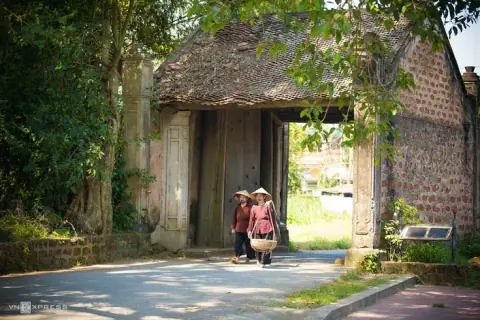 Cách cục của Tham Lang, Liêm Trinh, Cự Môn, Thất Sát, Phá Quân