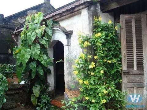 Cung Phụ Mẫu: cha xem Thái Dương, mẹ xem Thái Âm