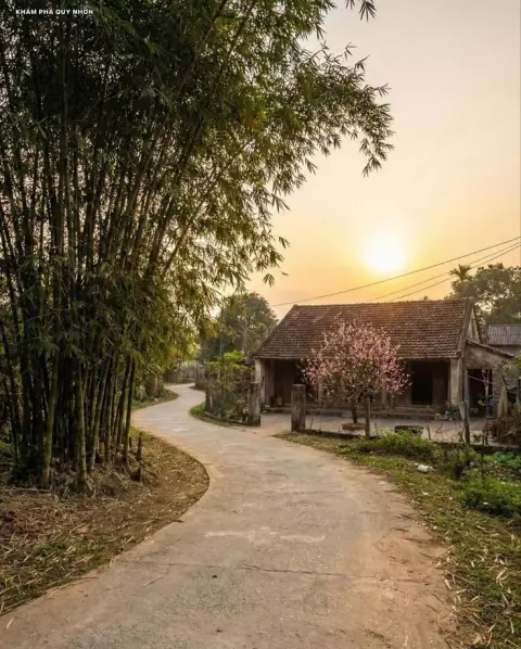 Tuổi ngũ đế, can chi ngũ hành và ngày lành cưới gả