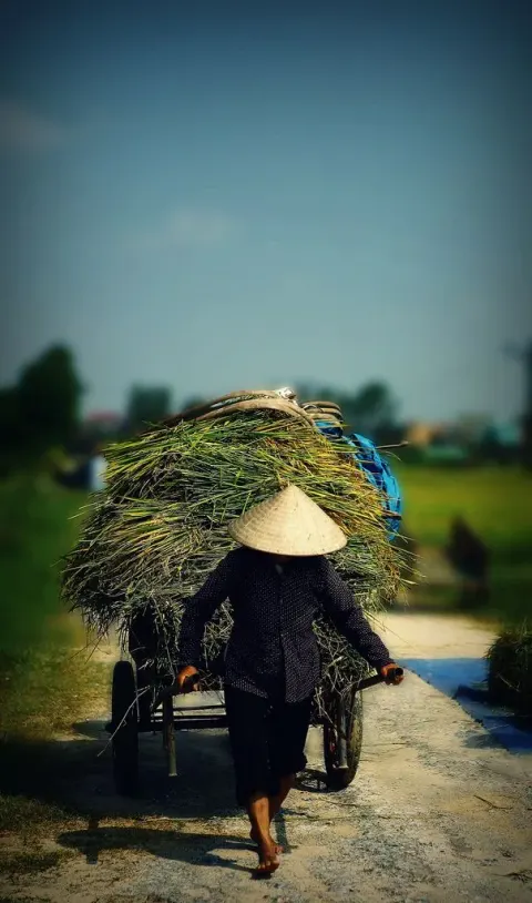 Người nam tuổi Tý, tuổi Sửu: thơ đoán vận và phụ giải