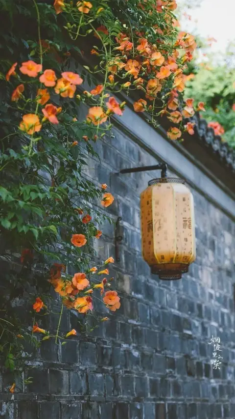 Tử Vi, Thiên Cơ, Thái Dương, Vũ Khúc, Thiên Đồng hiện ra thế nào ở từng cung