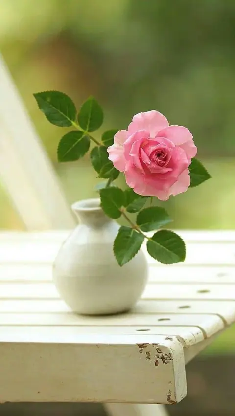 Điềm báo, nhân quả và một quẻ bói phá vòng vây