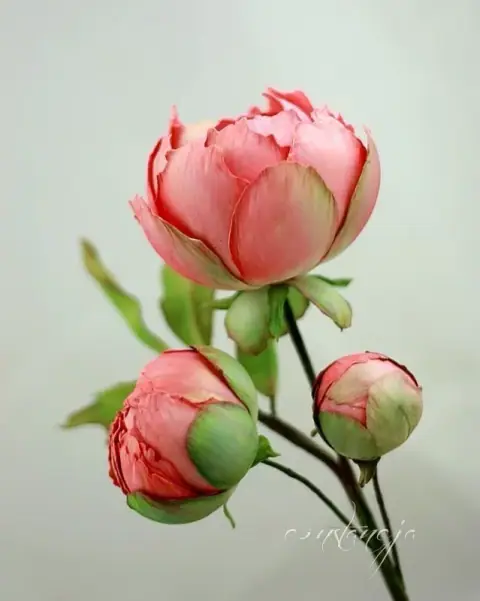 Bệnh tật trong Tứ trụ: ngũ hành tổn thương tạng nào, chín lá số