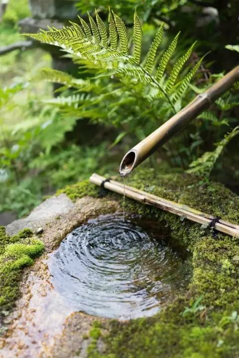 Tứ hóa năm sinh nhập sáu cung từ Thiên Di tới Phụ Mẫu