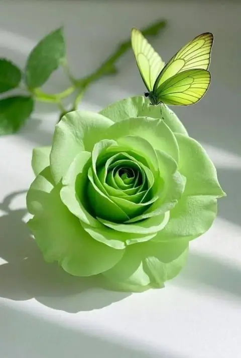 Tô Vũ chăn dê và những đoạn truyện hay trong Hán thư