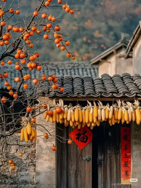 Giả ngây mà không điên, thế lưỡng nan và lấy lý của họ trị họ