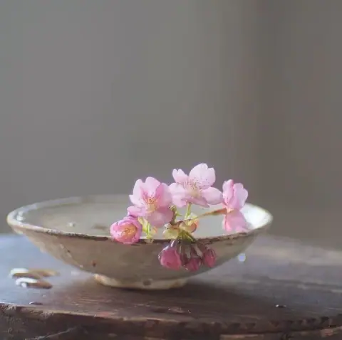 Tự hóa ở mười hai cung: từ Mệnh, Phu Thê đến Tử Tức