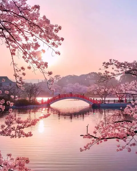 Địa Trạch Lâm: đất tới sát đầm, hai dương cùng tiến mà thắng
